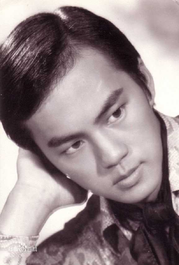 狄龙(Tommy Tam)年轻素颜照相册