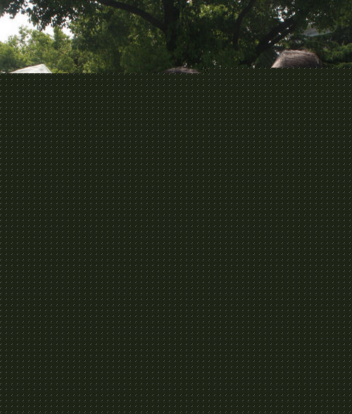 狄龙(Tommy Tam)活动图片壁纸壁纸