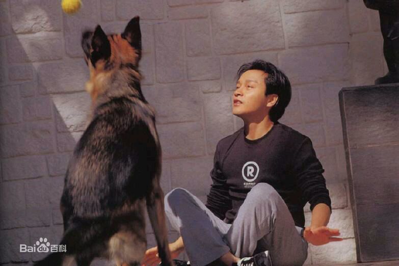 张国荣（原名张发宗）(Leslie Cheung（英）、レスリーチャン（日）)张国荣照片壁纸壁纸