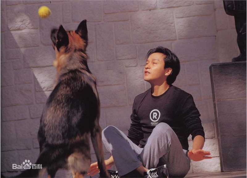 张国荣（原名张发宗）(Leslie Cheung（英）、レスリーチャン（日）)张国荣图片图集