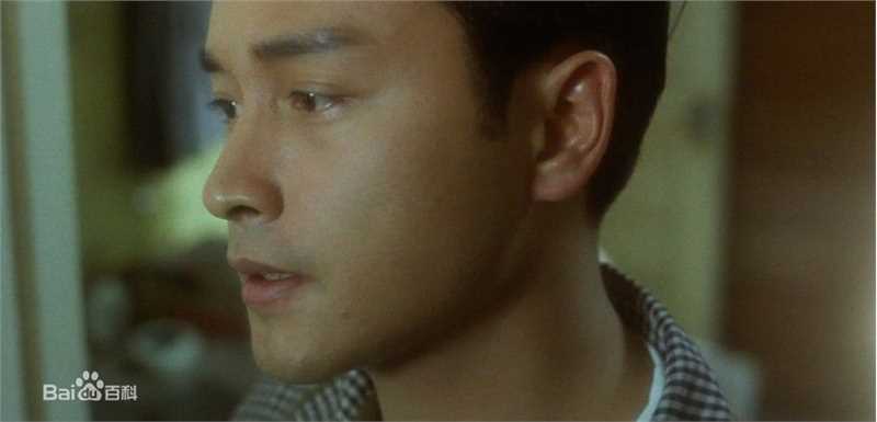 张国荣（原名张发宗）(Leslie Cheung（英）、レスリーチャン（日）)电影代表作品图册