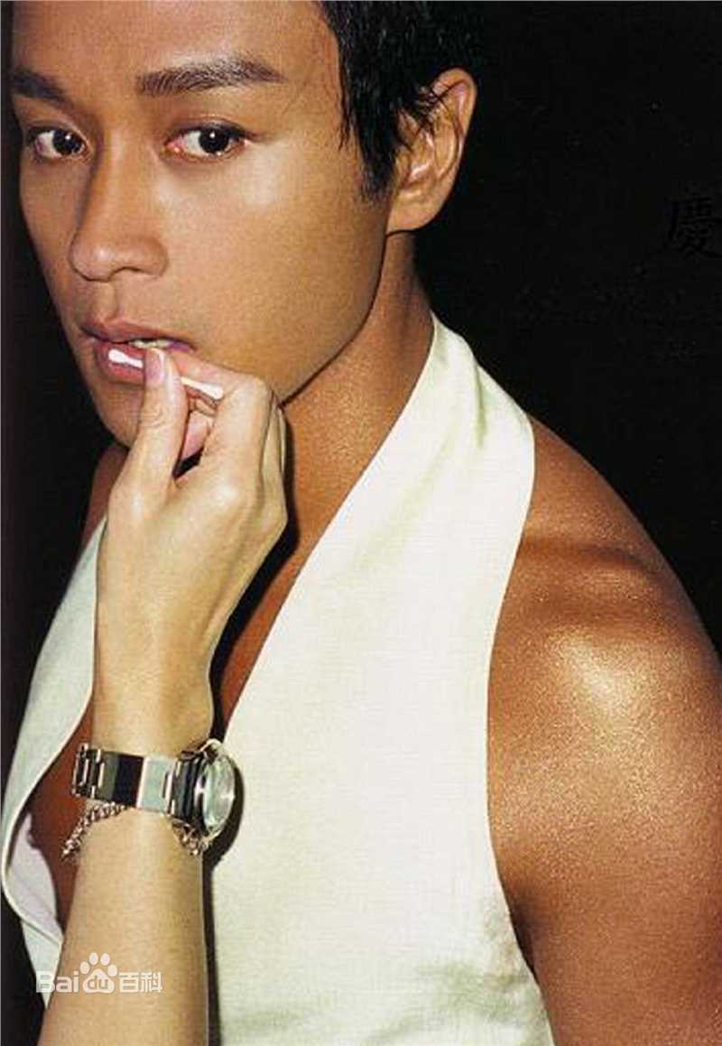 张国荣（原名张发宗）(Leslie Cheung（英）、レスリーチャン（日）)张国荣演唱会现场图册