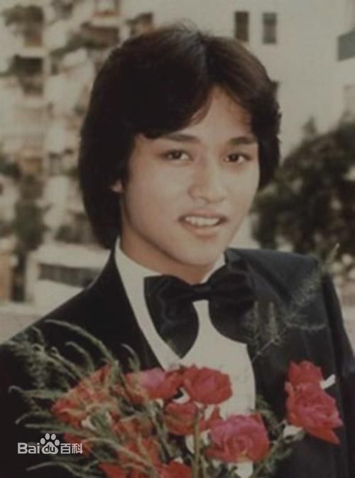 张国荣（原名张发宗）(Leslie Cheung（英）、レスリーチャン（日）)港剧时代的张国荣图册
