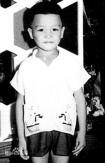 张国荣（原名张发宗）(Leslie Cheung（英）、レスリーチャン（日）)张国荣小时候性感图片图集