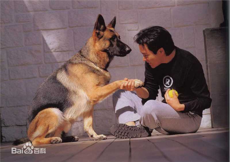 精选张国荣（原名张发宗）(Leslie Cheung（英）、レスリーチャン（日）)精彩图册