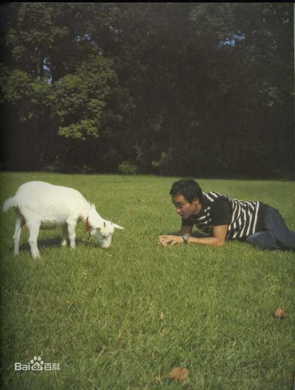 最优质张国荣（原名张发宗）(Leslie Cheung（英）、レスリーチャン（日）)在2000年 《庆》中的相册