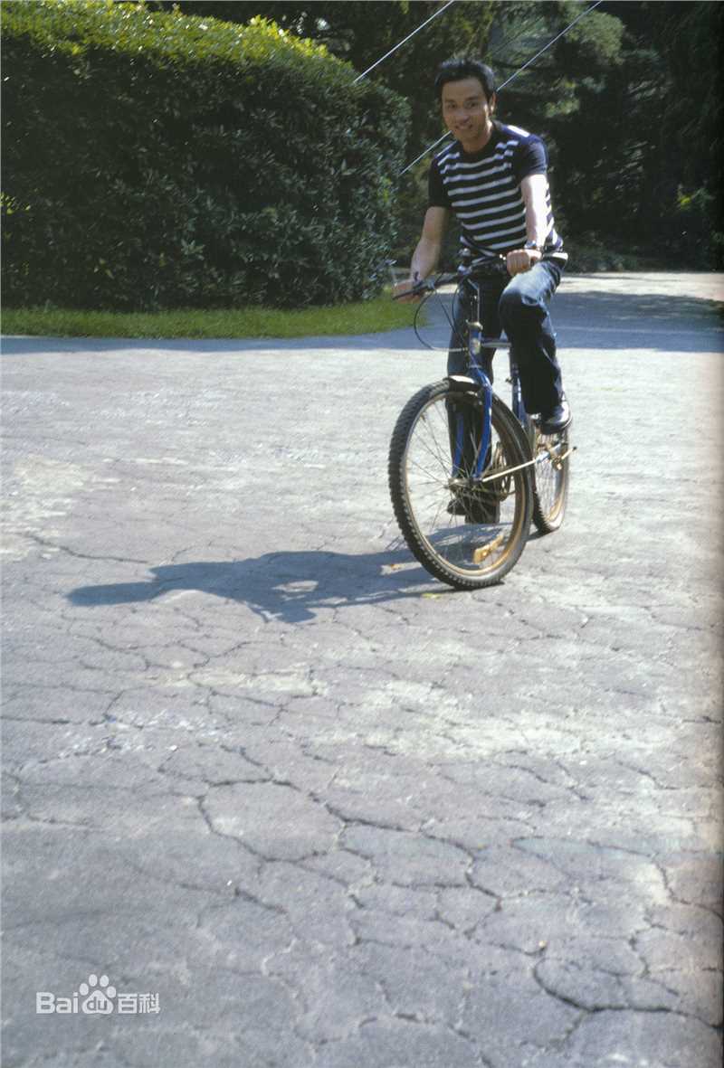 最优质张国荣（原名张发宗）(Leslie Cheung（英）、レスリーチャン（日）)在2000年 《庆》中的相册