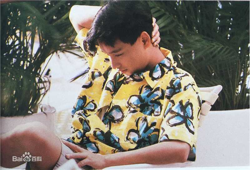 精选张国荣（原名张发宗）(Leslie Cheung（英）、レスリーチャン（日）)在1985年 《夏日演唱会特刊》中的图册