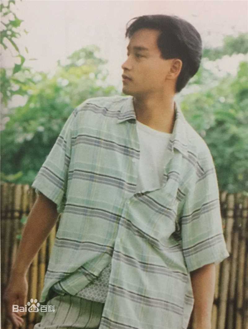 精选张国荣（原名张发宗）(Leslie Cheung（英）、レスリーチャン（日）)在1985年 《夏日演唱会特刊》中的图册