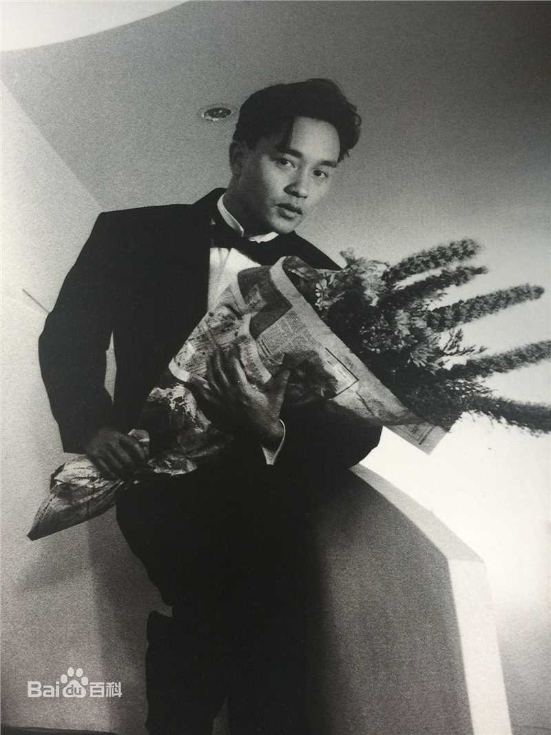 最优质张国荣（原名张发宗）(Leslie Cheung（英）、レスリーチャン（日）)在1988年 《纯影集》中的相册