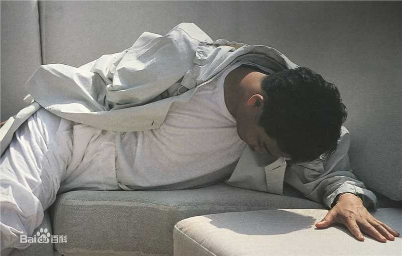 最优质张国荣（原名张发宗）(Leslie Cheung（英）、レスリーチャン（日）)在1988年 《纯影集》中的相册