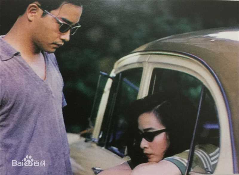 最全张国荣（原名张发宗）(Leslie Cheung（英）、レスリーチャン（日）)在《阿飞正传》饰旭仔中的壁纸