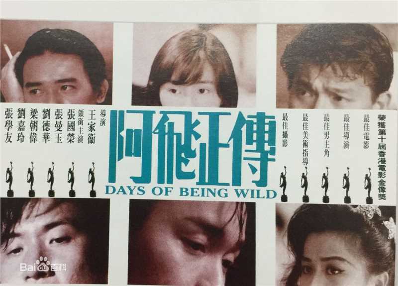 最全张国荣（原名张发宗）(Leslie Cheung（英）、レスリーチャン（日）)在《阿飞正传》饰旭仔中的壁纸