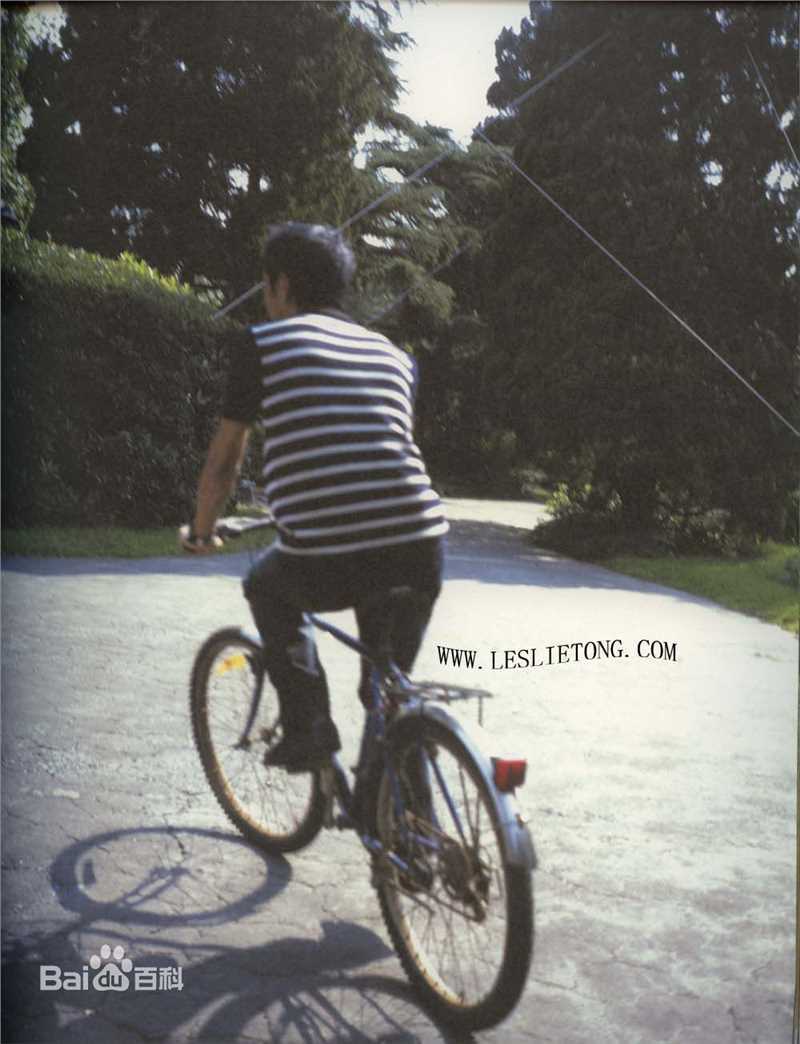 张国荣（原名张发宗）(Leslie Cheung（英）、レスリーチャン（日）)最新2000《庆》壁纸