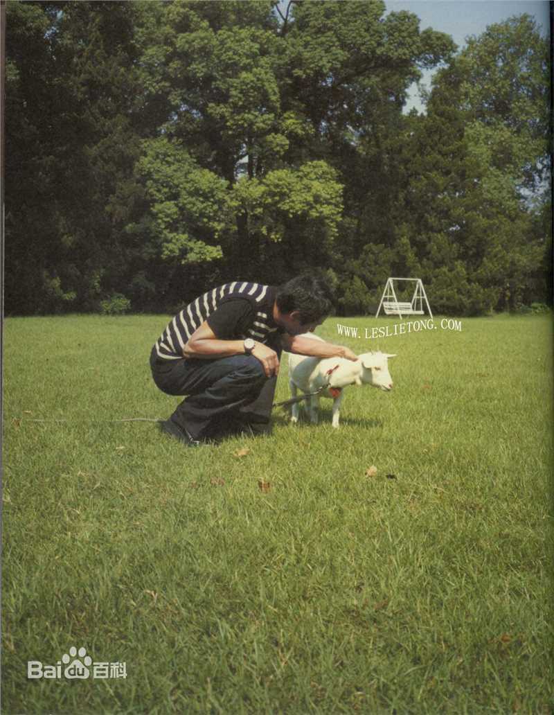 张国荣（原名张发宗）(Leslie Cheung（英）、レスリーチャン（日）)最新2000《庆》壁纸