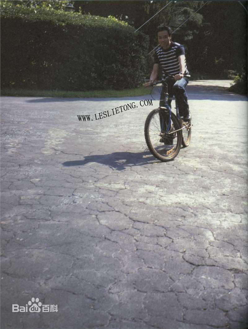 张国荣（原名张发宗）(Leslie Cheung（英）、レスリーチャン（日）)最新2000《庆》壁纸