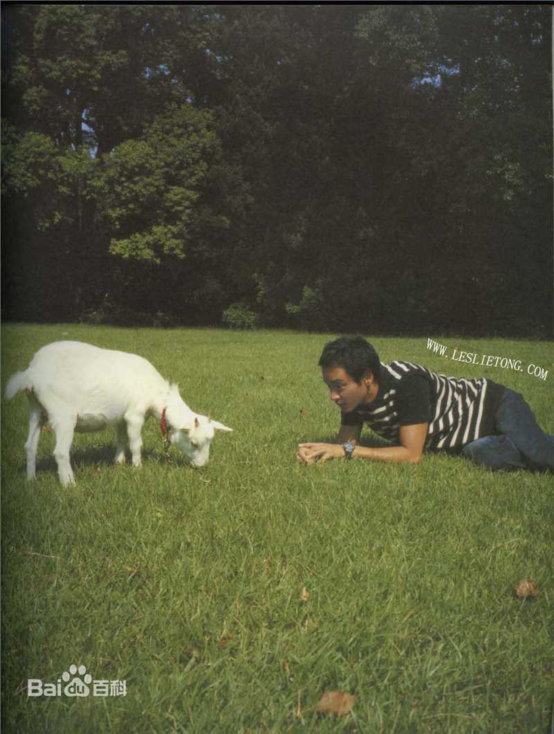 张国荣（原名张发宗）(Leslie Cheung（英）、レスリーチャン（日）)最新2000《庆》壁纸