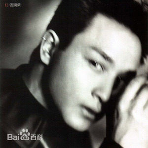张国荣（原名张发宗）(Leslie Cheung（英）、レスリーチャン（日）)张国荣音乐专辑2图册