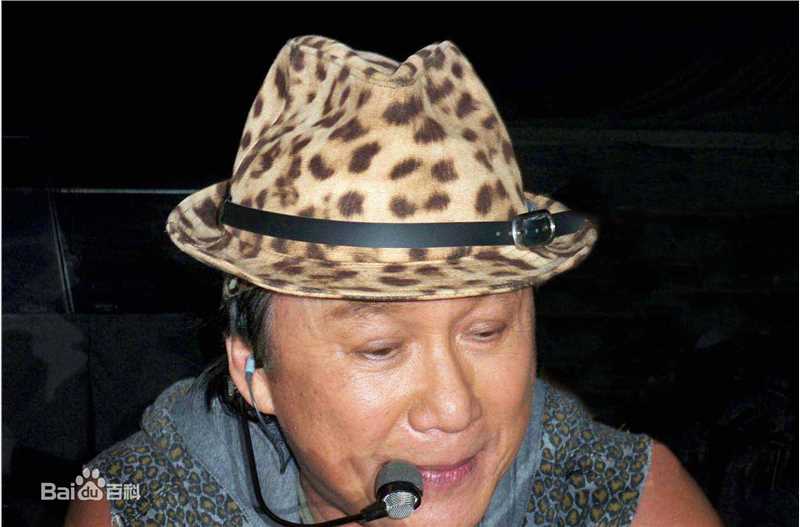 许冠杰(Samuel Hui)美国演唱会生活照相册