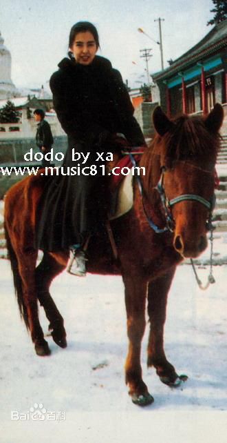 王祖贤(Joey Wong)在大陆图片图集