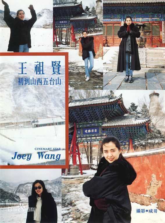 王祖贤(Joey Wong)在大陆图片图集