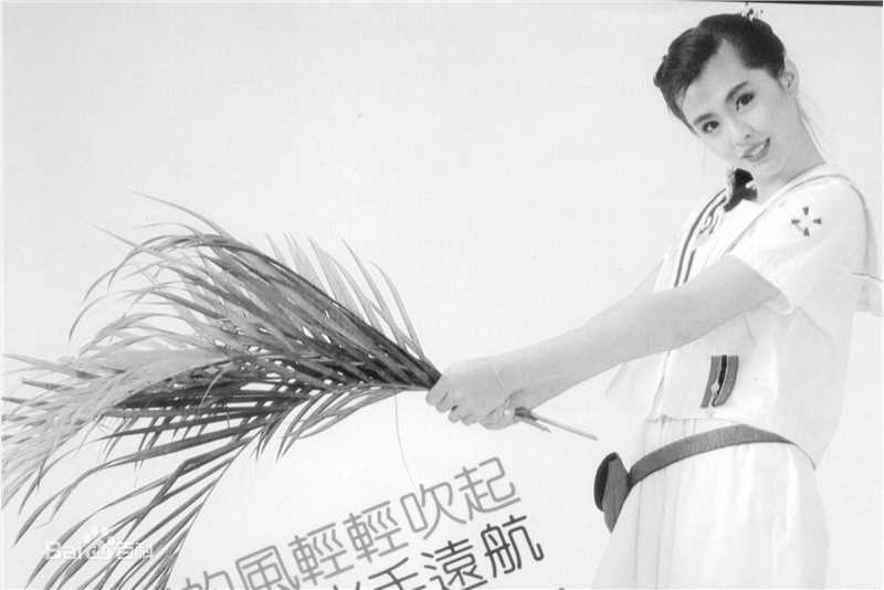 王祖贤(Joey Wong)广告系列性感图片图集