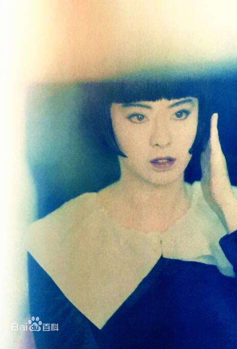 王祖贤(Joey Wong)彩页图集素颜照相册