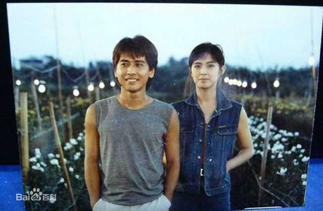 王祖贤(Joey Wong)与齐秦素颜照相册