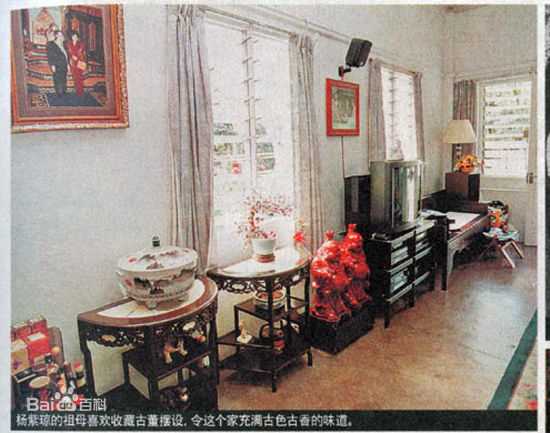 杨紫琼(Michelle Yeoh)早年的图册