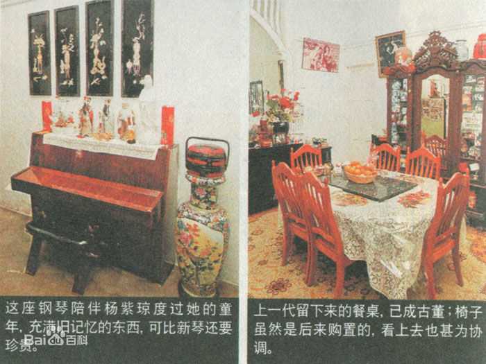 杨紫琼(Michelle Yeoh)早年的图册