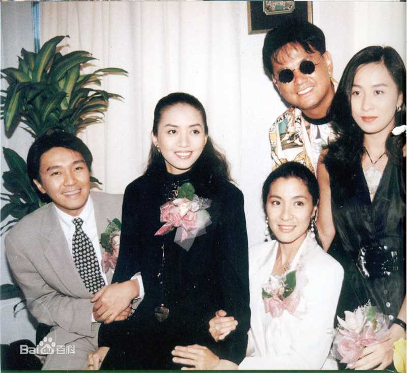 杨紫琼(Michelle Yeoh)梅艳芳与壁纸壁纸