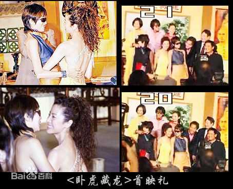 杨紫琼(Michelle Yeoh)梅艳芳与壁纸壁纸