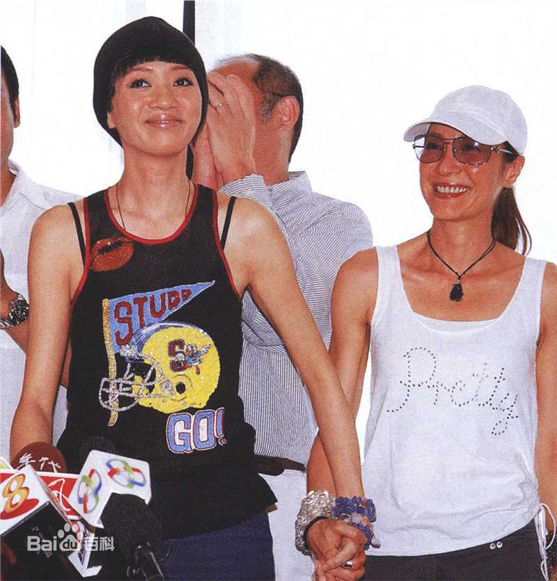 杨紫琼(Michelle Yeoh)梅艳芳与壁纸壁纸