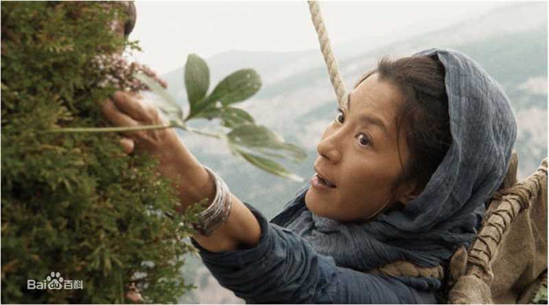 杨紫琼(Michelle Yeoh)2010年《苏乞儿》最优质剧照