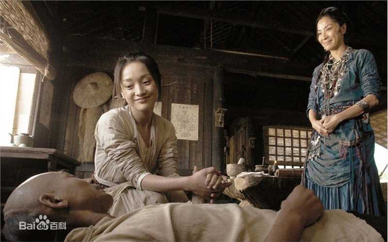 杨紫琼(Michelle Yeoh)2010年《苏乞儿》最优质剧照