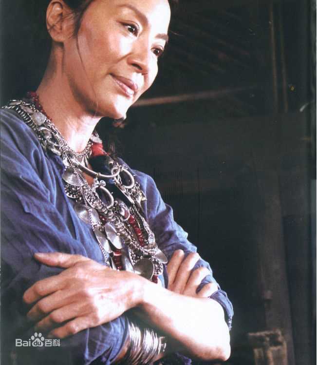 杨紫琼(Michelle Yeoh)2010年《苏乞儿》最优质剧照