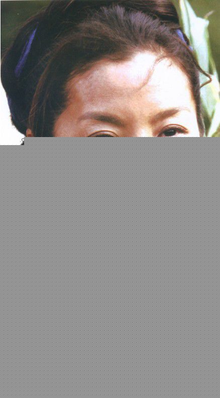 杨紫琼(Michelle Yeoh)2010年《苏乞儿》最优质剧照