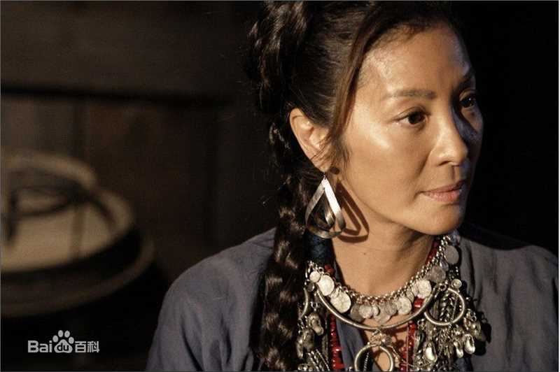 杨紫琼(Michelle Yeoh)2010年《苏乞儿》最优质剧照
