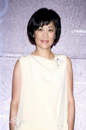 精选张艾嘉(Sylvia Chang)