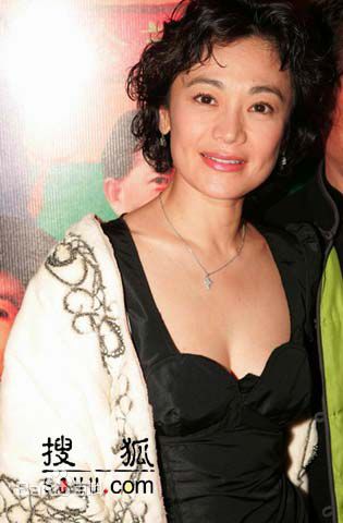 精选张艾嘉(Sylvia Chang)
