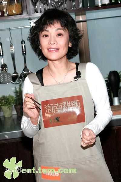 精选张艾嘉(Sylvia Chang)