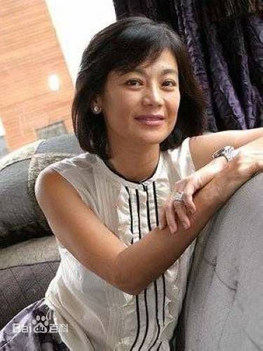 精选张艾嘉(Sylvia Chang)