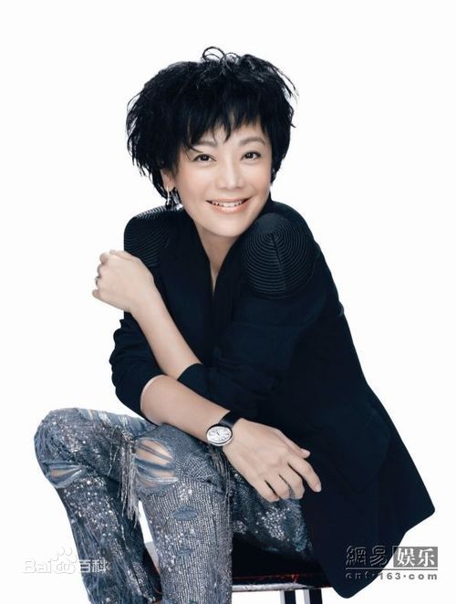 精选张艾嘉(Sylvia Chang)