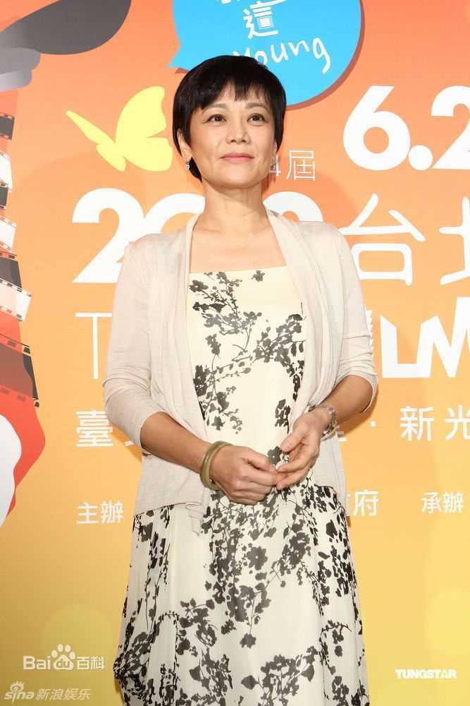 最全张艾嘉(Sylvia Chang)精彩图册