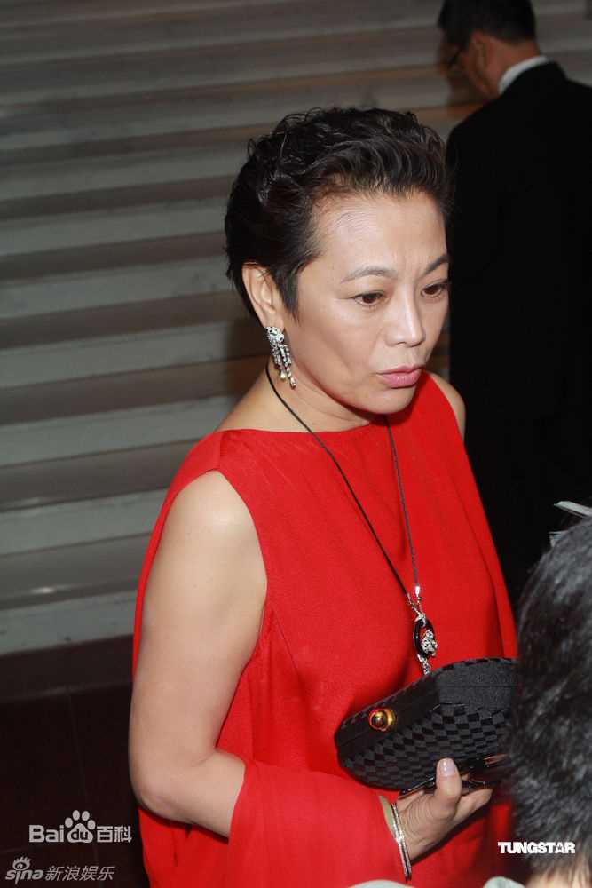 最全张艾嘉(Sylvia Chang)精彩图册