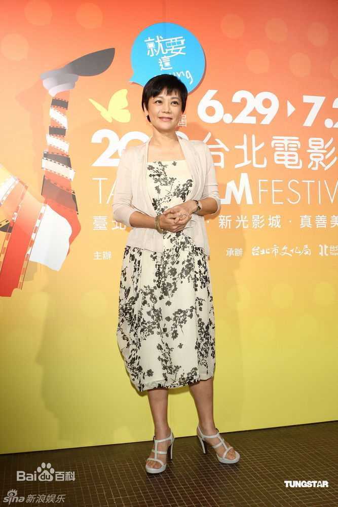 最全张艾嘉(Sylvia Chang)精彩图册