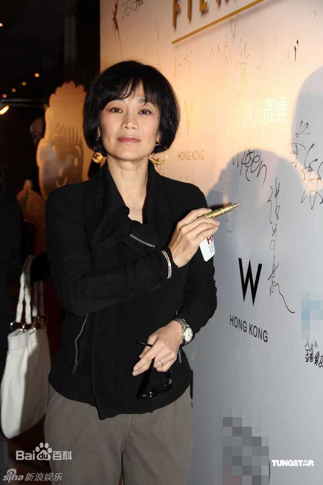 最全张艾嘉(Sylvia Chang)精彩图册