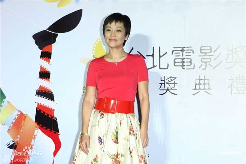 最全张艾嘉(Sylvia Chang)精彩图册