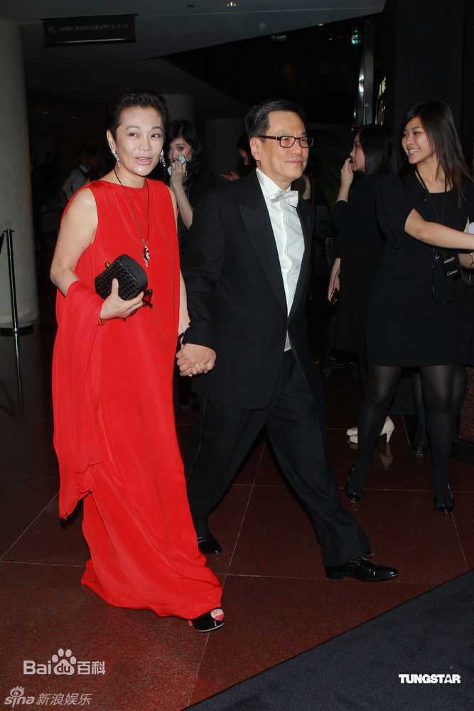 最全张艾嘉(Sylvia Chang)精彩图册