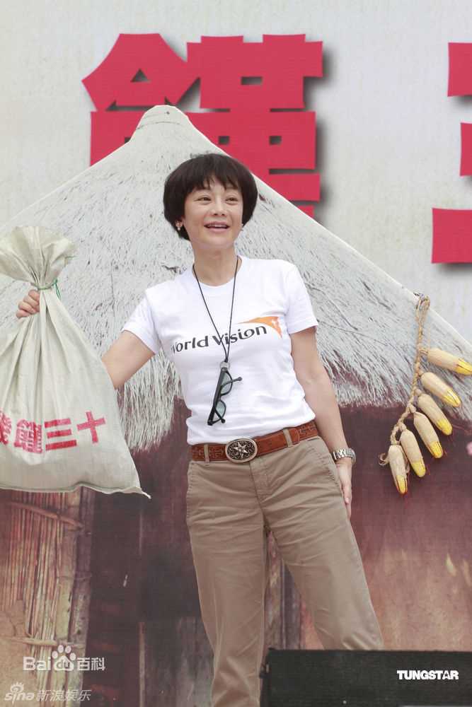 最全张艾嘉(Sylvia Chang)精彩图册